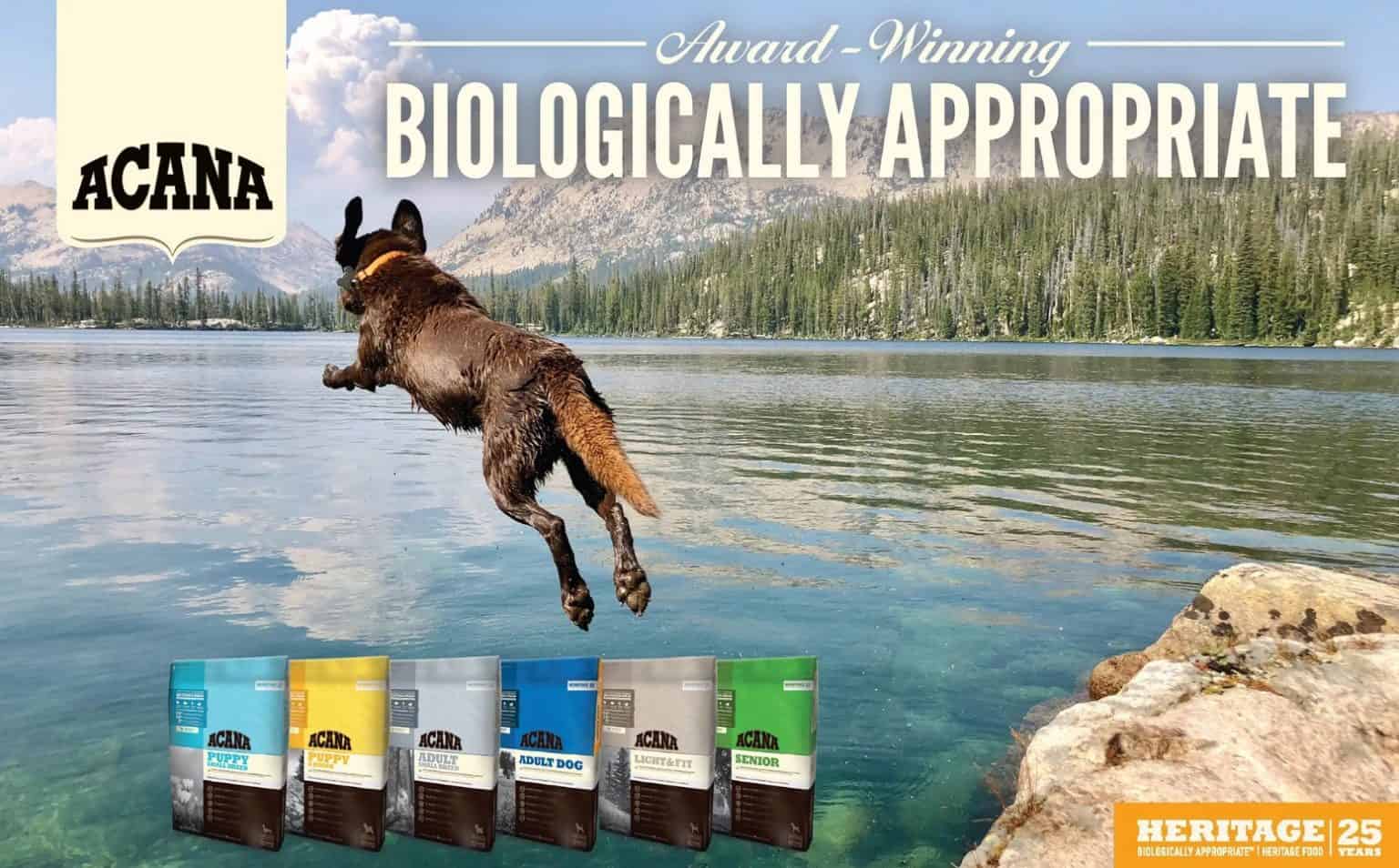 Acana Dog Food Reviews 2022 Best Biologically Appropriate Diet?