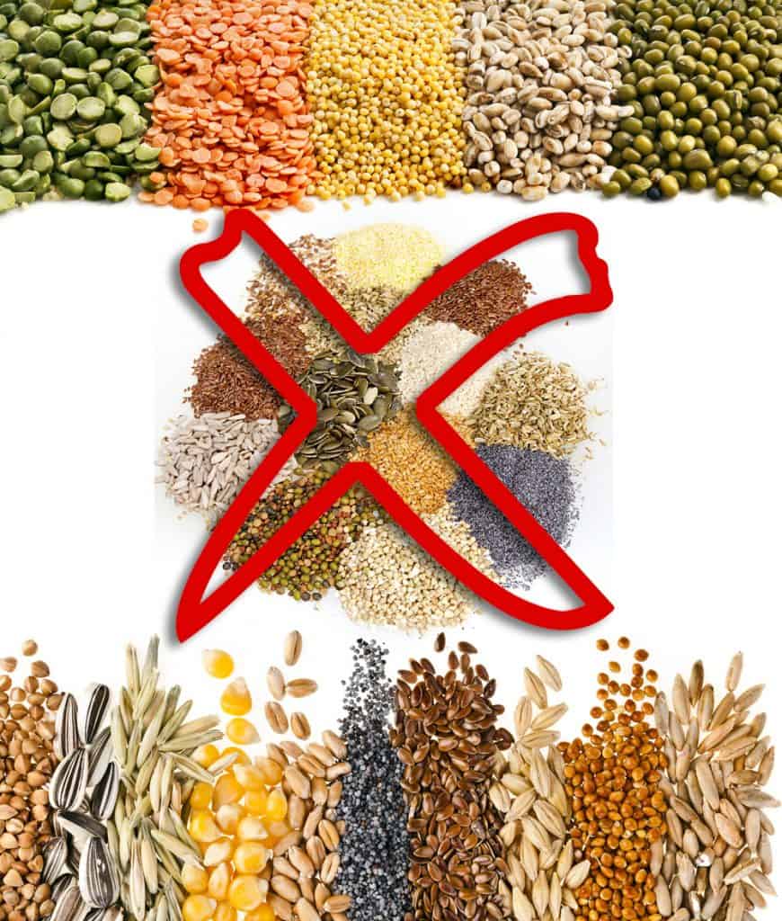 Is grain-free good