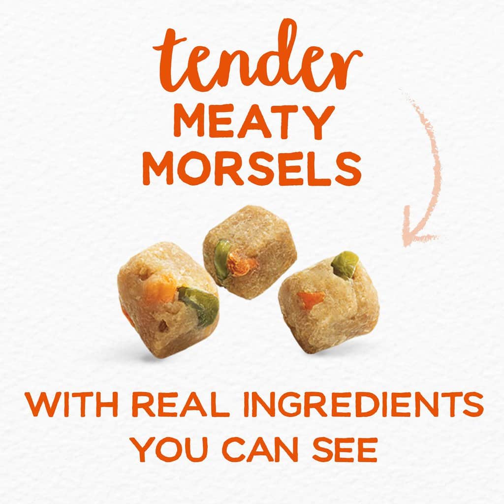 Beneful Dog Food Review 2022 Is It Safe for Pets to Eat?