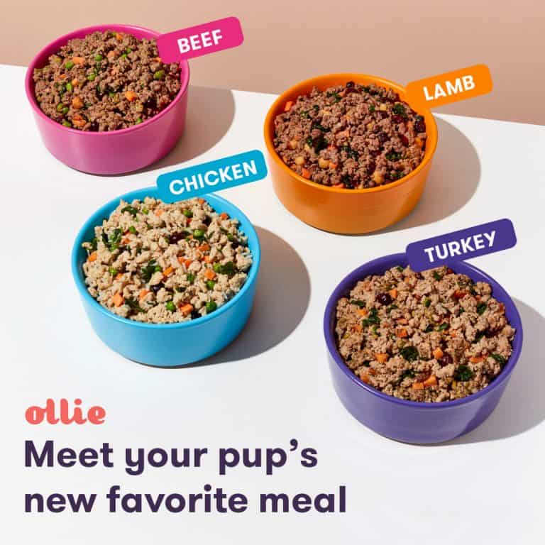 ollie-dog-food-review-2022-the-best-fresh-pet-food-around