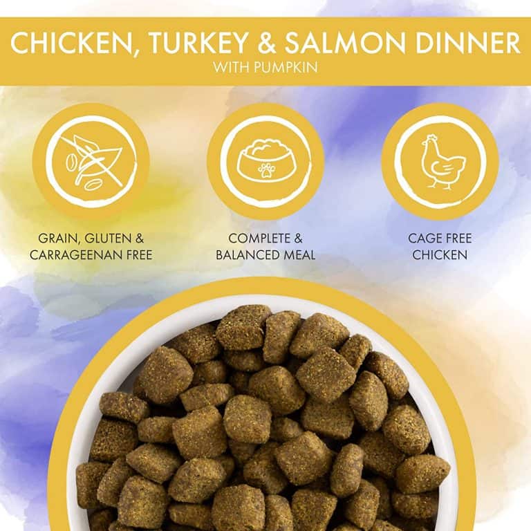 Weruva Dog Food Review 2022 The Best Luxury Pet Food Today?