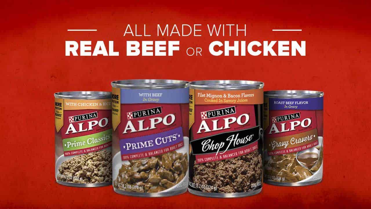 Alpo Dog Food Review 2022 EyeOpening Facts, Good & Bad!