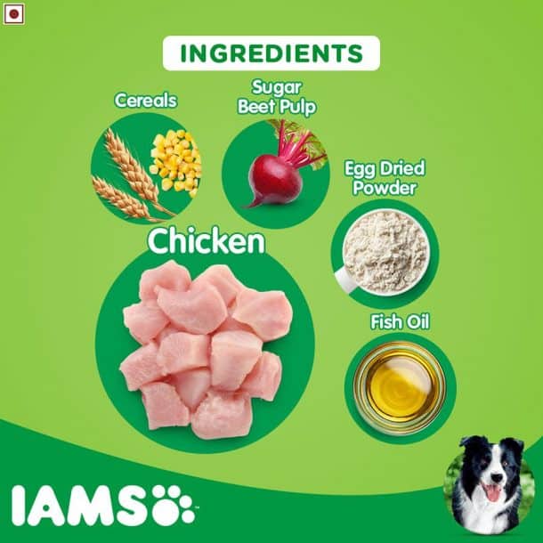 Iams Dog Food Review 2022 The Best Budget Pet Nutrition?
