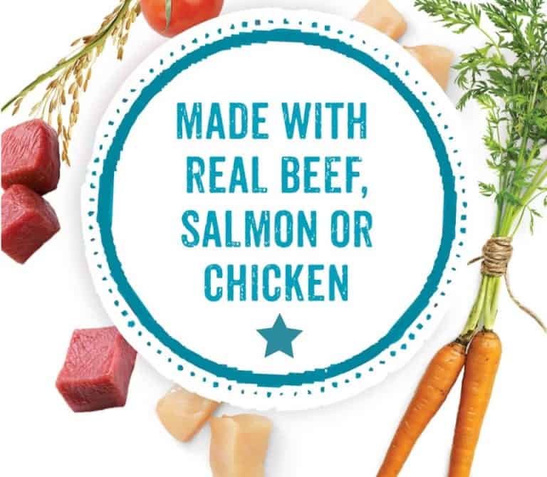 Beneful Dog Food Review 2022 Is It Safe for Pets to Eat?