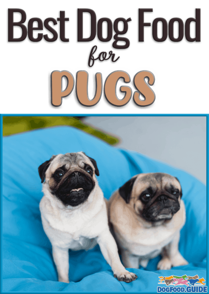 Best Dog Food for Pugs