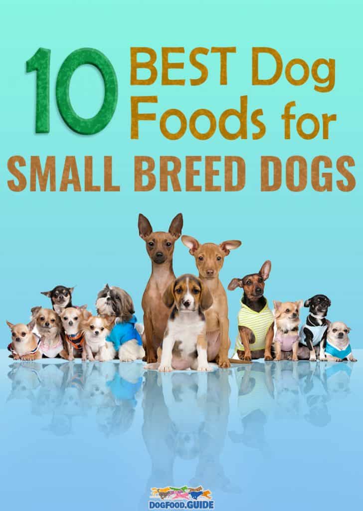 Best Dog Foods For Small Breed Dogs