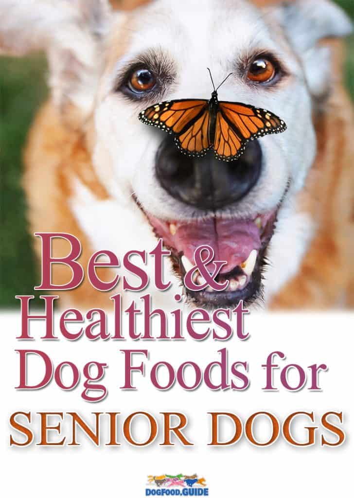 Best & Healthiest Dog Foods for Senior Dogs