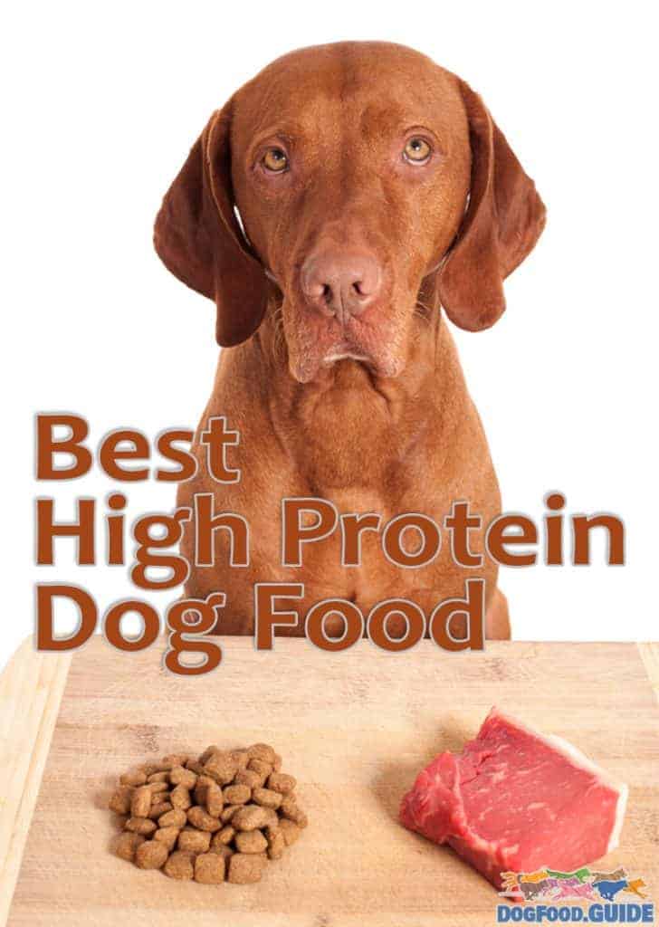 best high protein dog food