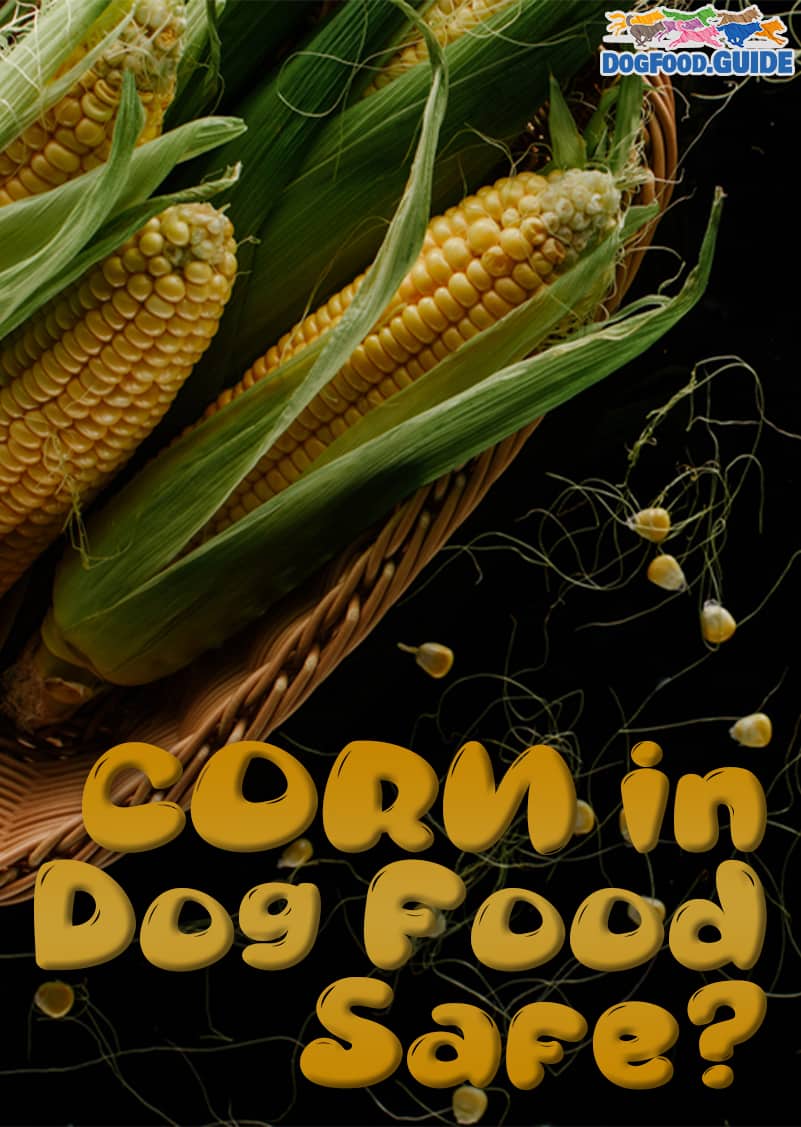 Corn in Dog Food 2022 Should You Avoid It?