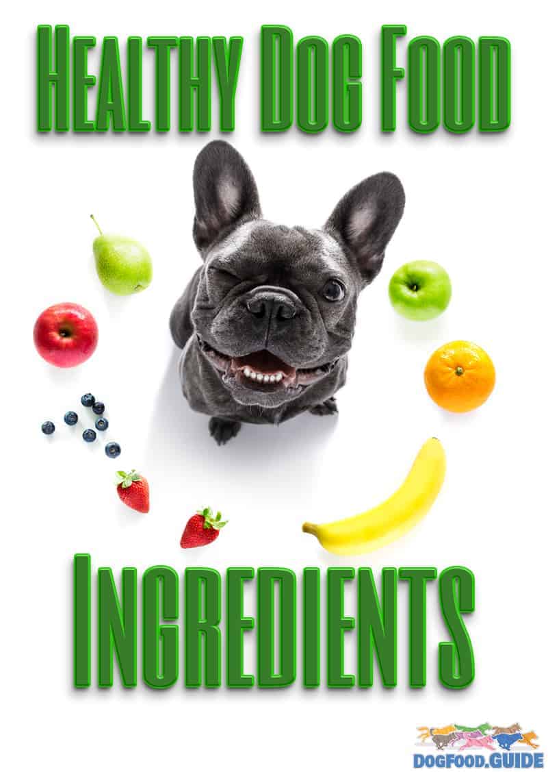 Healthy Dog Food Ingredients 101 All You Need to Know!