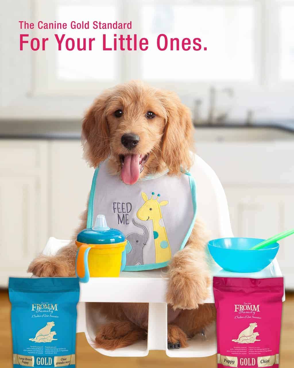 2022 Fromm Dog Food Review The Best & The Oldest?