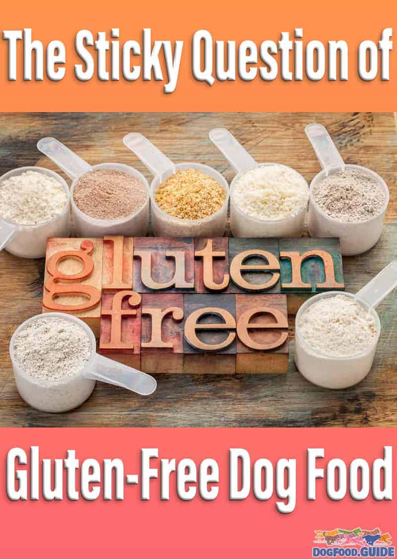 GlutenFree Dog Food 101 Is It The Best Choice for Dogs?