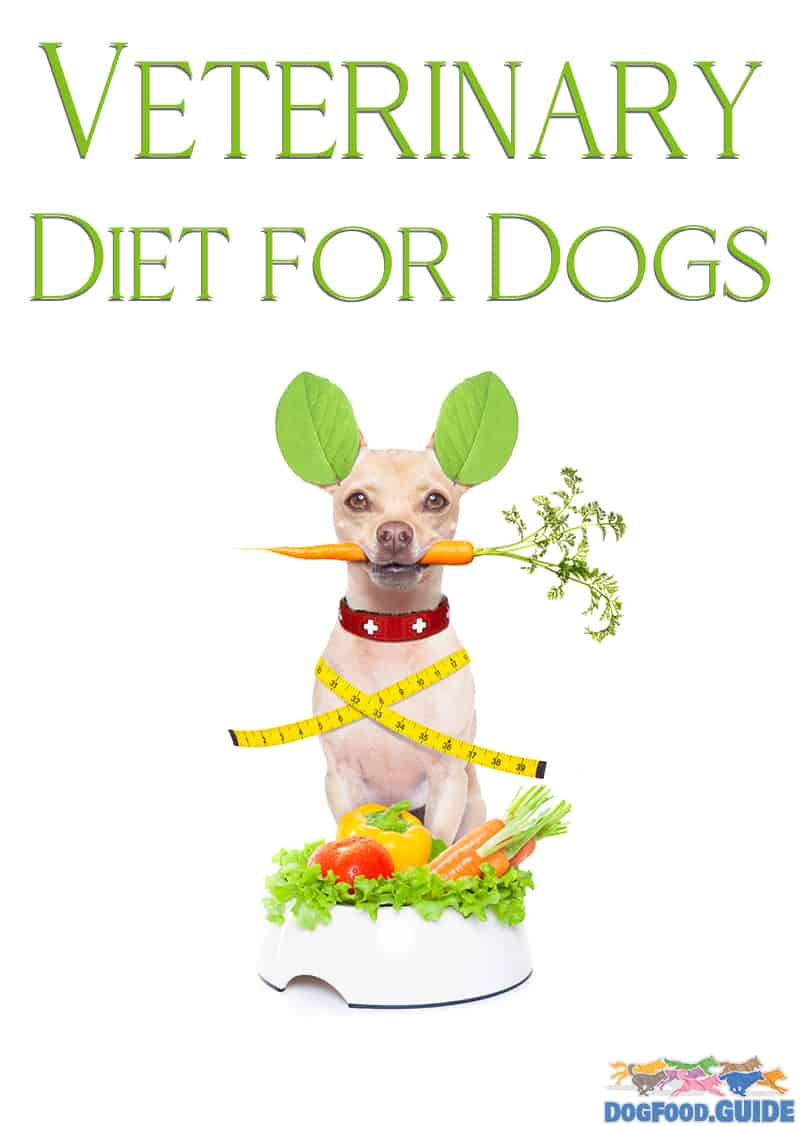 Veterinary Diet 2022 Yay or Nay for your Pet?