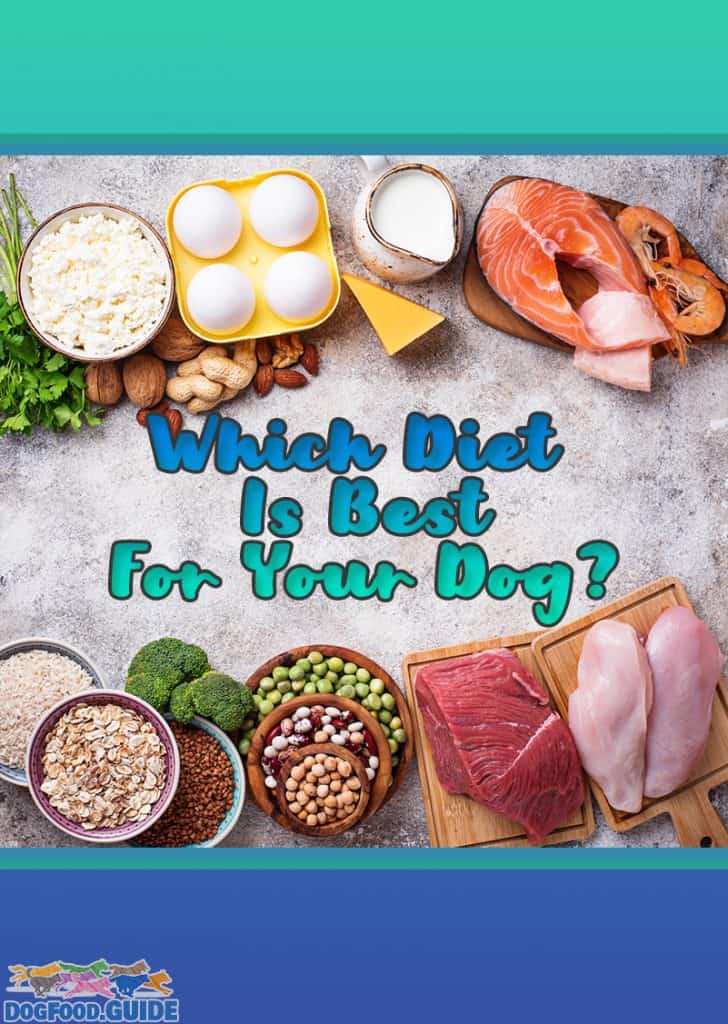 Which Diet Is Best for Your Dog