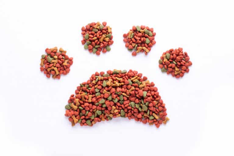 Different Types of Dog Food 101 Best, Worst and In Between!