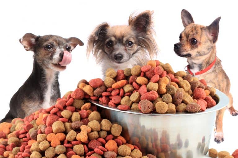 Different Types of Dog Food 101 Best, Worst and In Between!