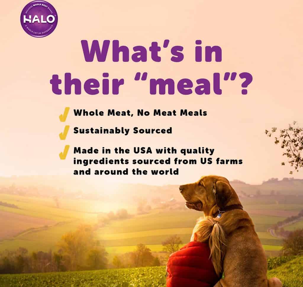 Best Halo Dog Food Reviews 2022 The Best Holistic Brand?