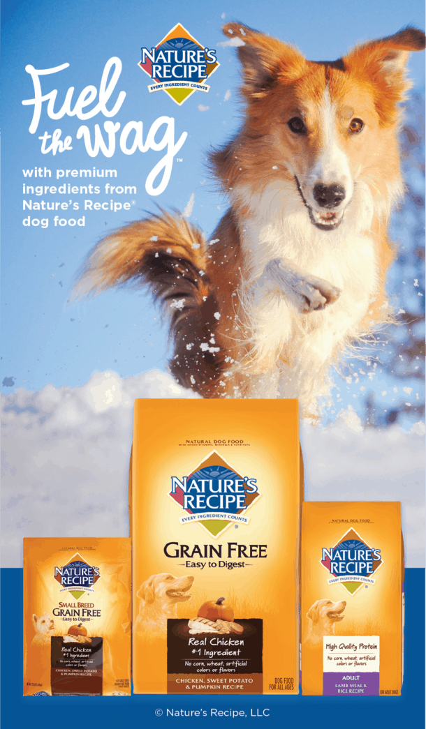 Nature's Recipe Dog Food Review 2022 Safe As It Sounds?