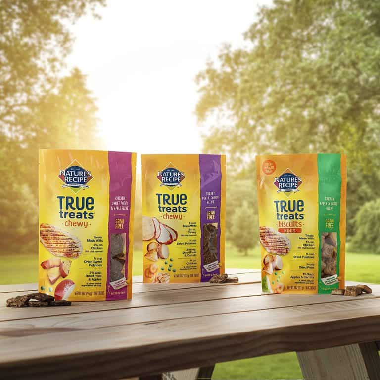 Nature's Recipe Dog Food Review 2022 Safe As It Sounds?