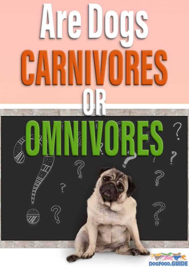re Dogs Carnivores Or Omnivores