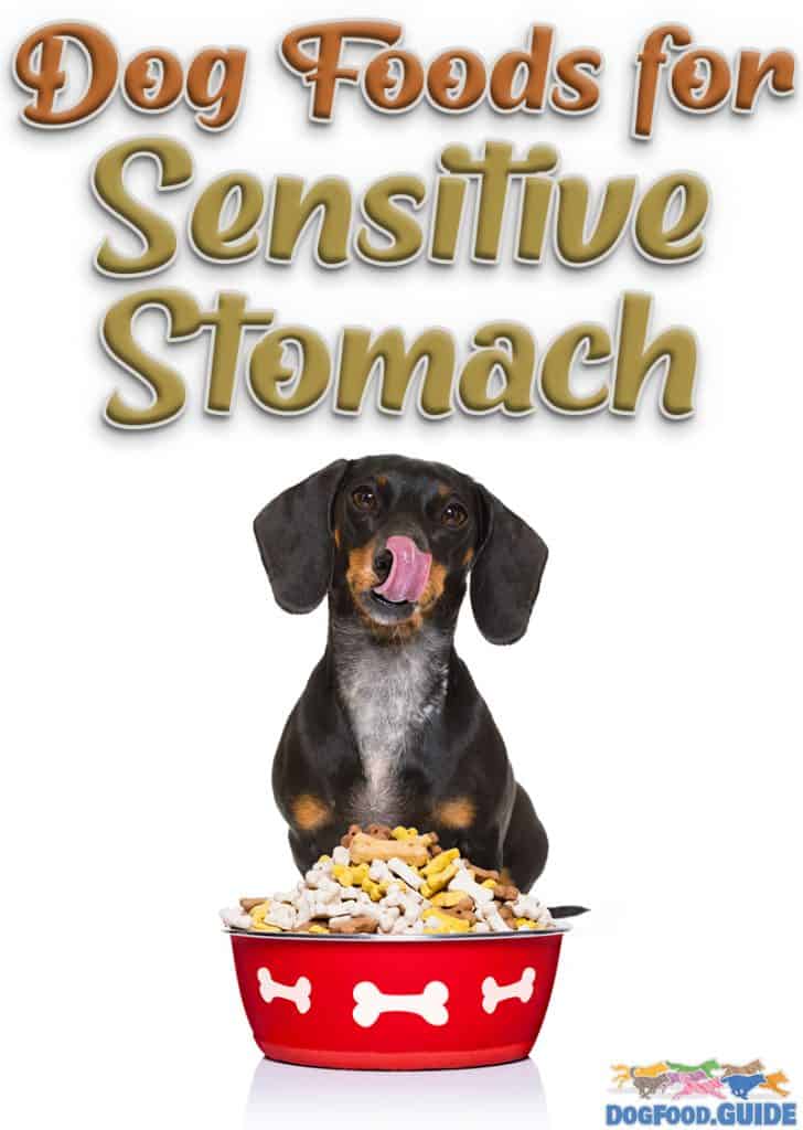 best dog food for sensitive stomach