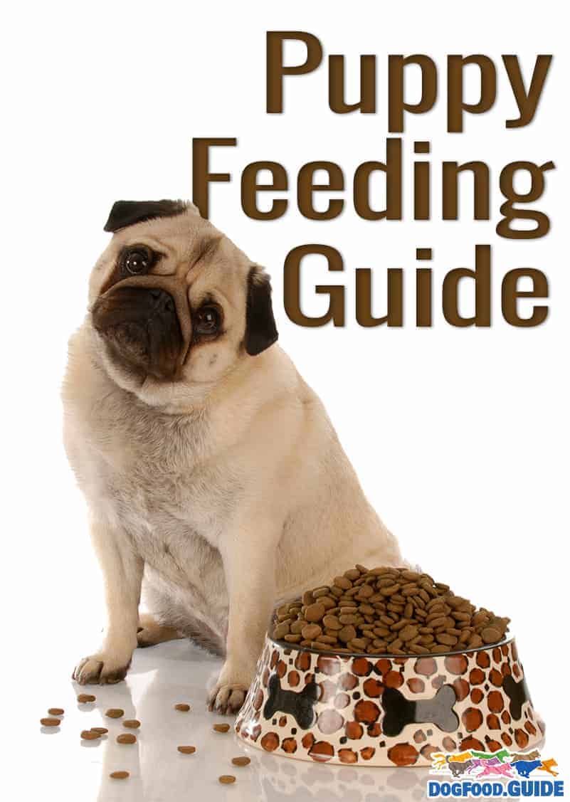 Puppy Feeding Quantity 101 Useful Tips Revealed