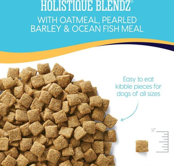 Solid Gold Dog Food Reviews 2022 The Best Holistic Pet Food?
