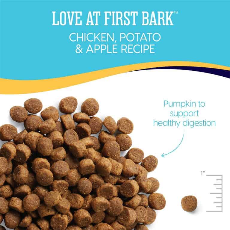 Solid Gold Dog Food Reviews 2022 The Best Holistic Pet Food?
