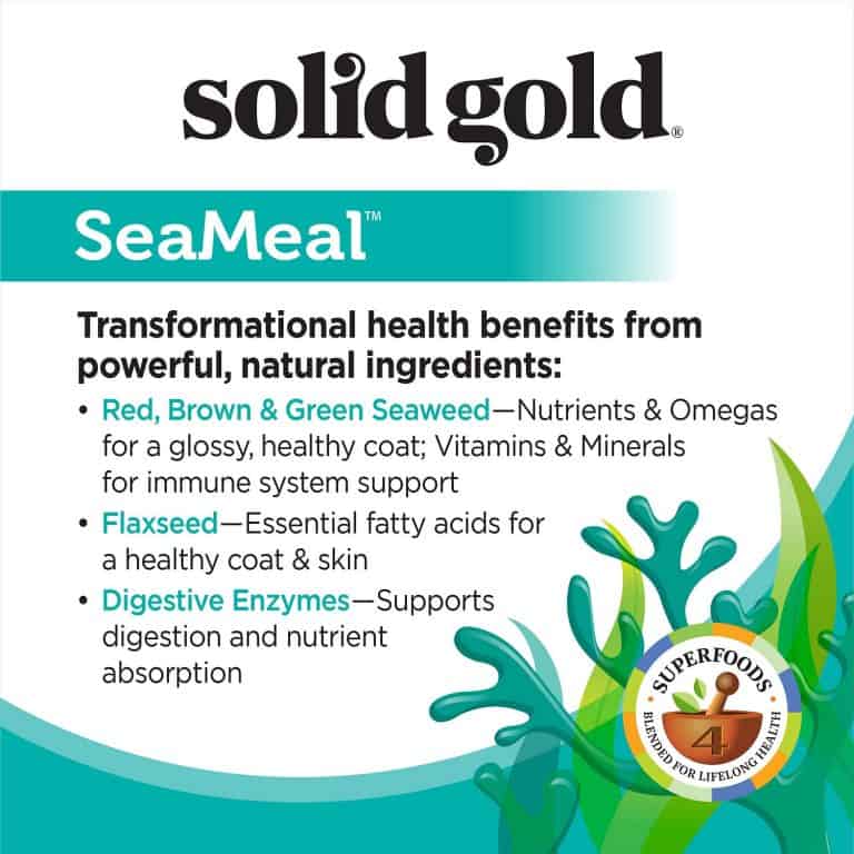 Solid Gold Dog Food Reviews 2022 The Best Holistic Pet Food?