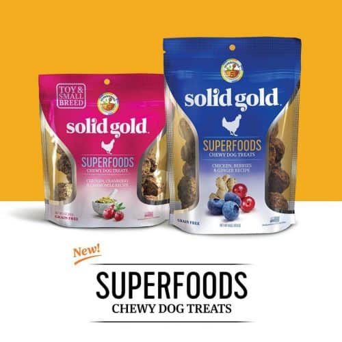 Solid Gold Dog Food Reviews 2022 The Best Holistic Pet Food?