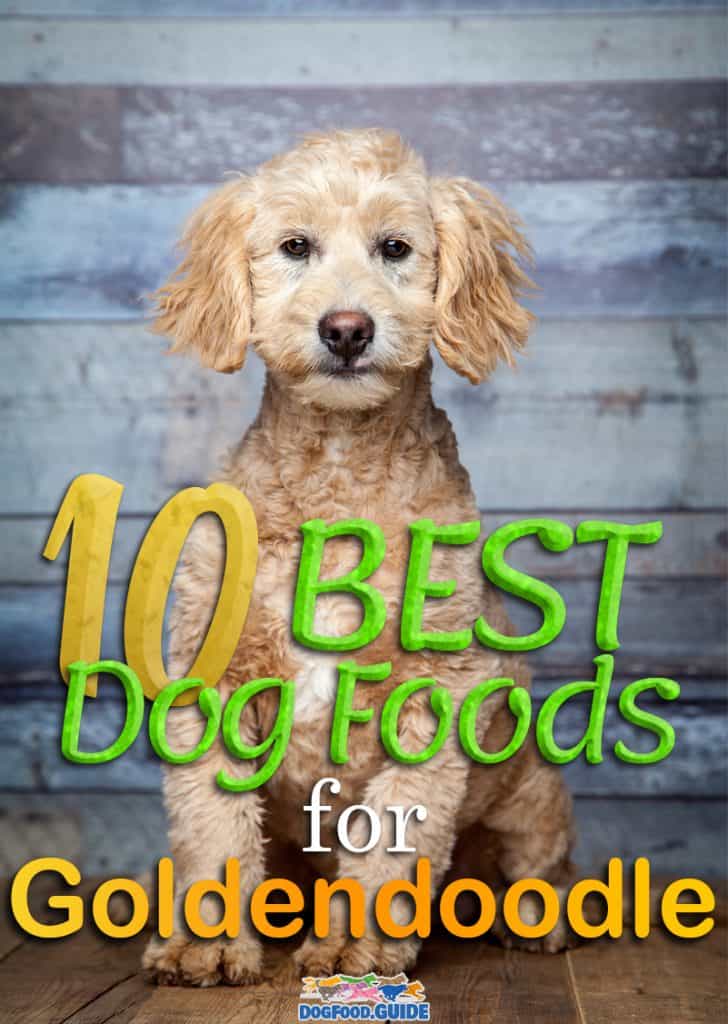 Best Dog Foods For Goldendoodles
