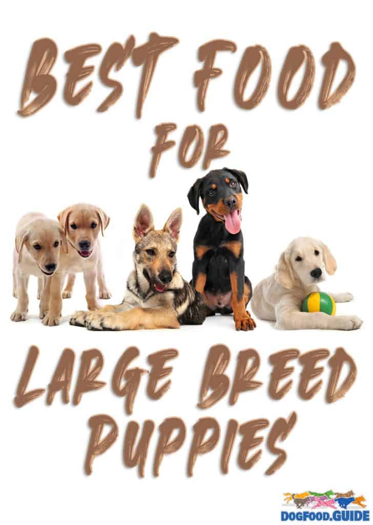 large breed puppy food