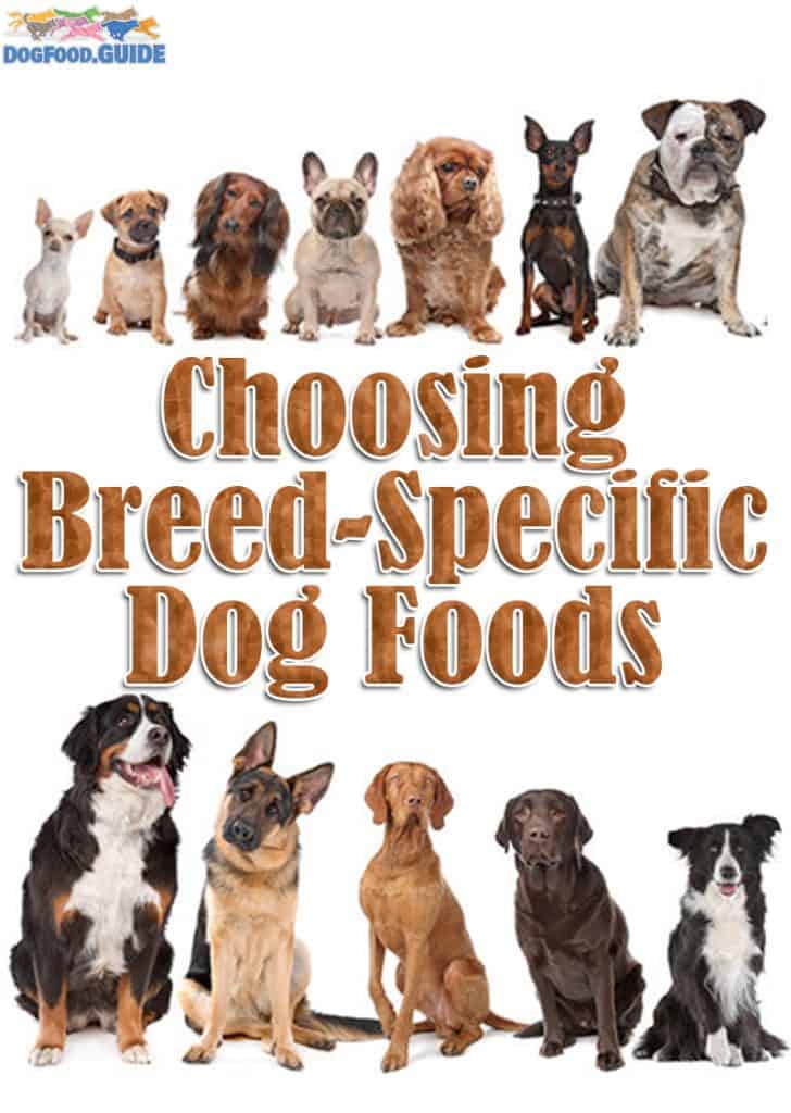 Choosing Breed-Specific Dog Foods