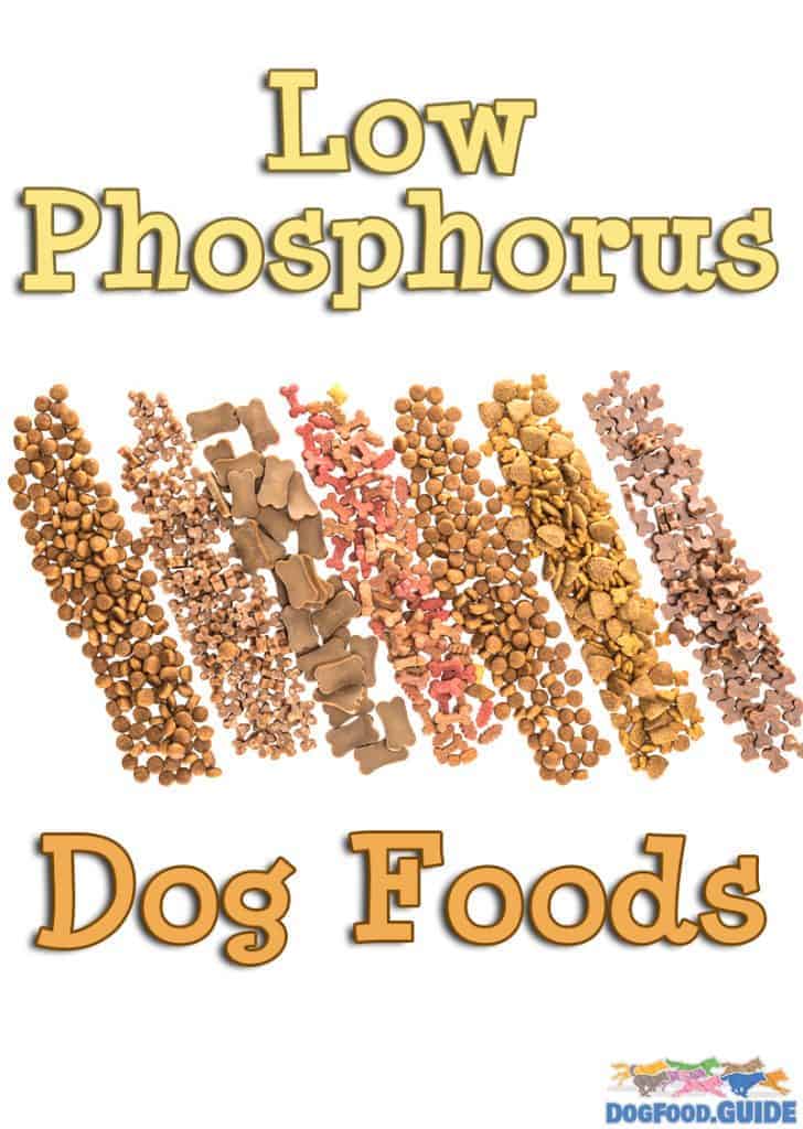 Low Phosphorus Dog Foods