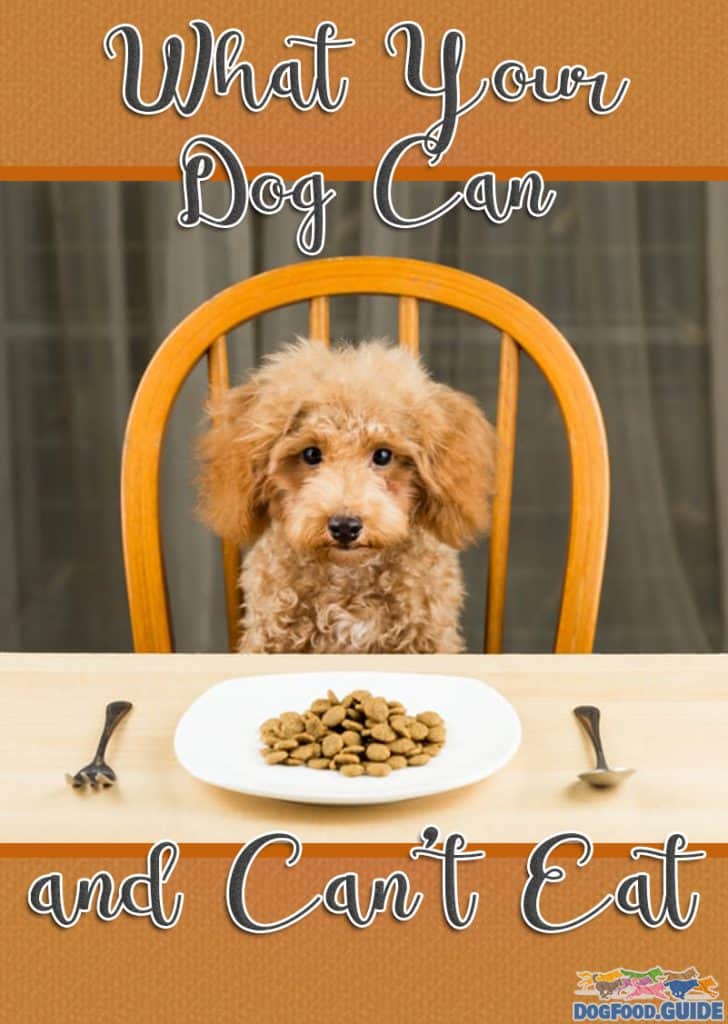 A Guide to What your Dog Can and Can't Eat 11 A Guide To What Your Dog Can And Can’t Eat