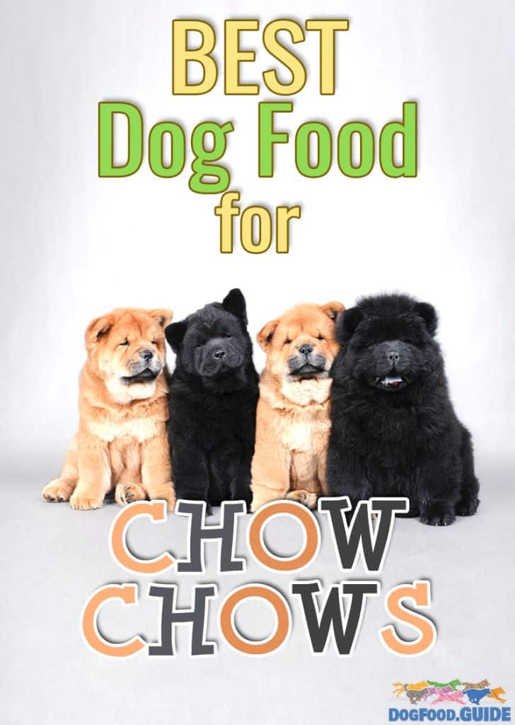 Best Dog Food for Chow Chows