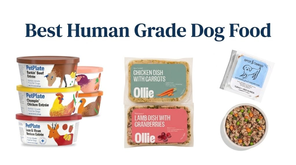 Best Human Grade Dog Food