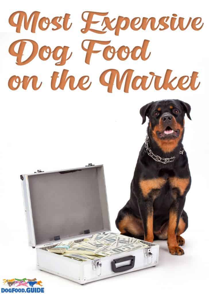 Most Expensive Dog Foods