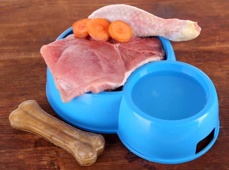 what is chicken meal dog food 2