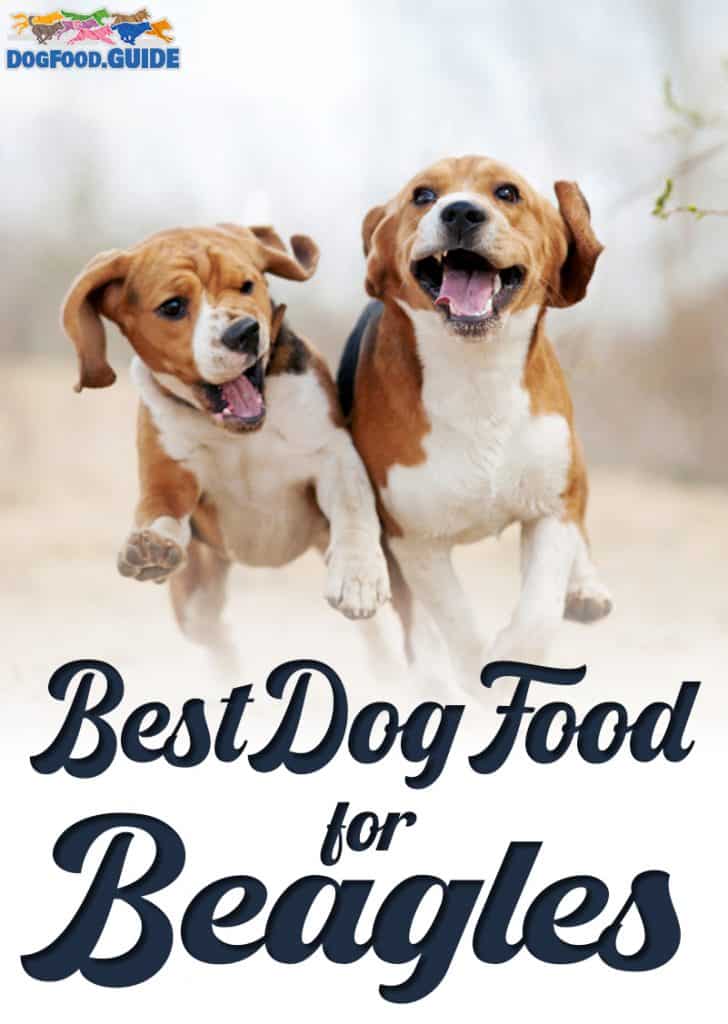 Best Dog Food for Beagles 2020