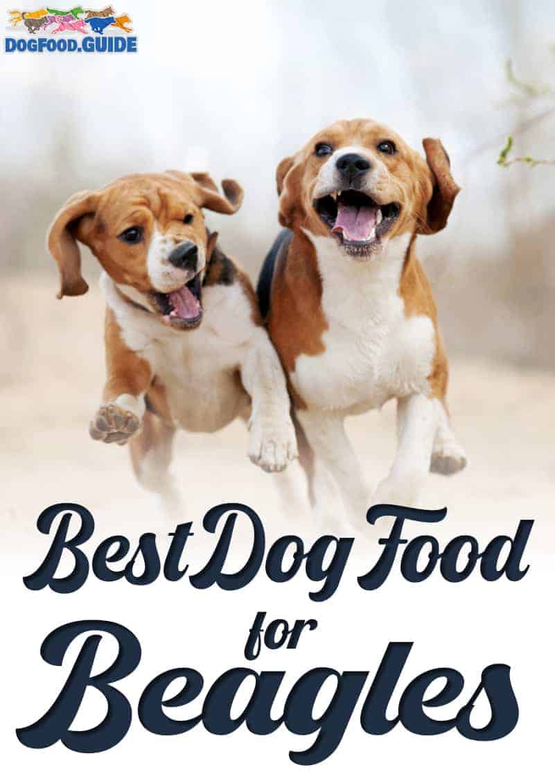 10 Healthiest & Best Dog Food for Beagles in 2022 Revealed!