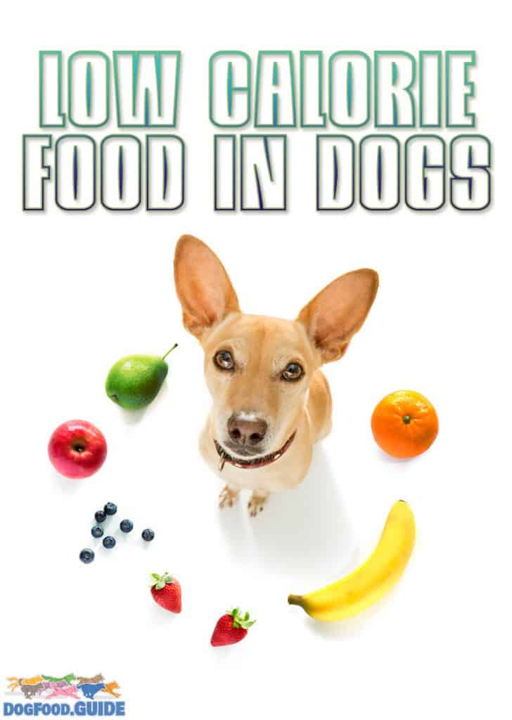 Low Calorie Food in Dogs