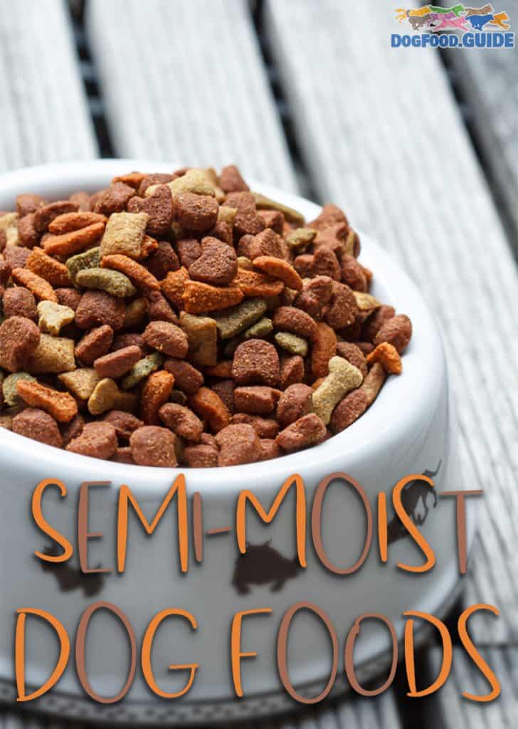 Best Semi-Moist Dog Food: Tasty and Nutritious Options for Your Pet 8 Semi-Moist Dog Foods