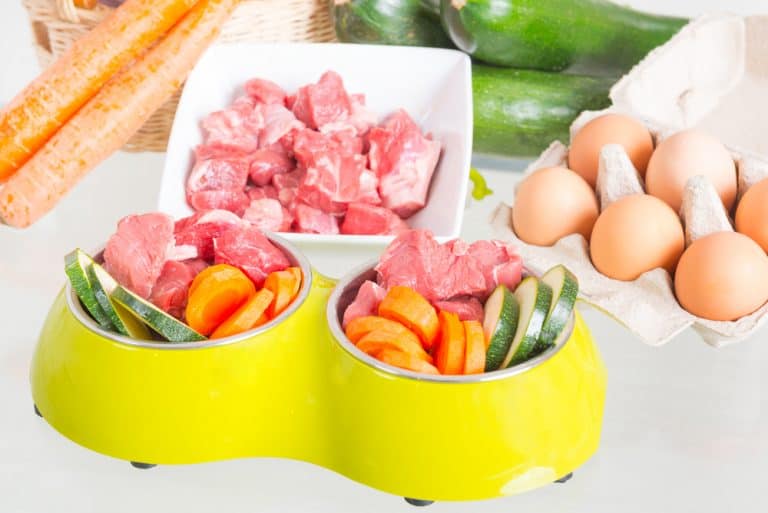 Top 10 Healthiest & Best Dog Food for Active Dogs in 2022