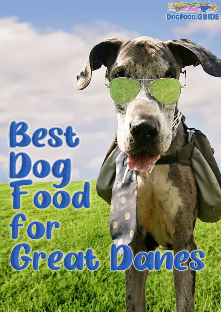 Best Dog Food For Great Danes