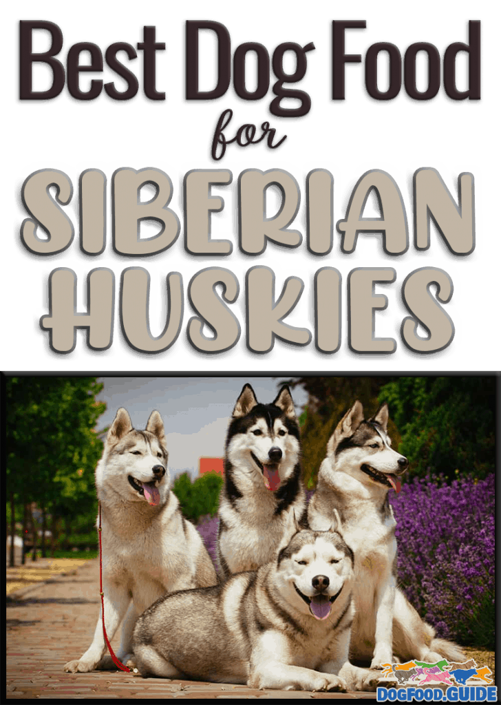 Best Dog Food for Siberian Huskies