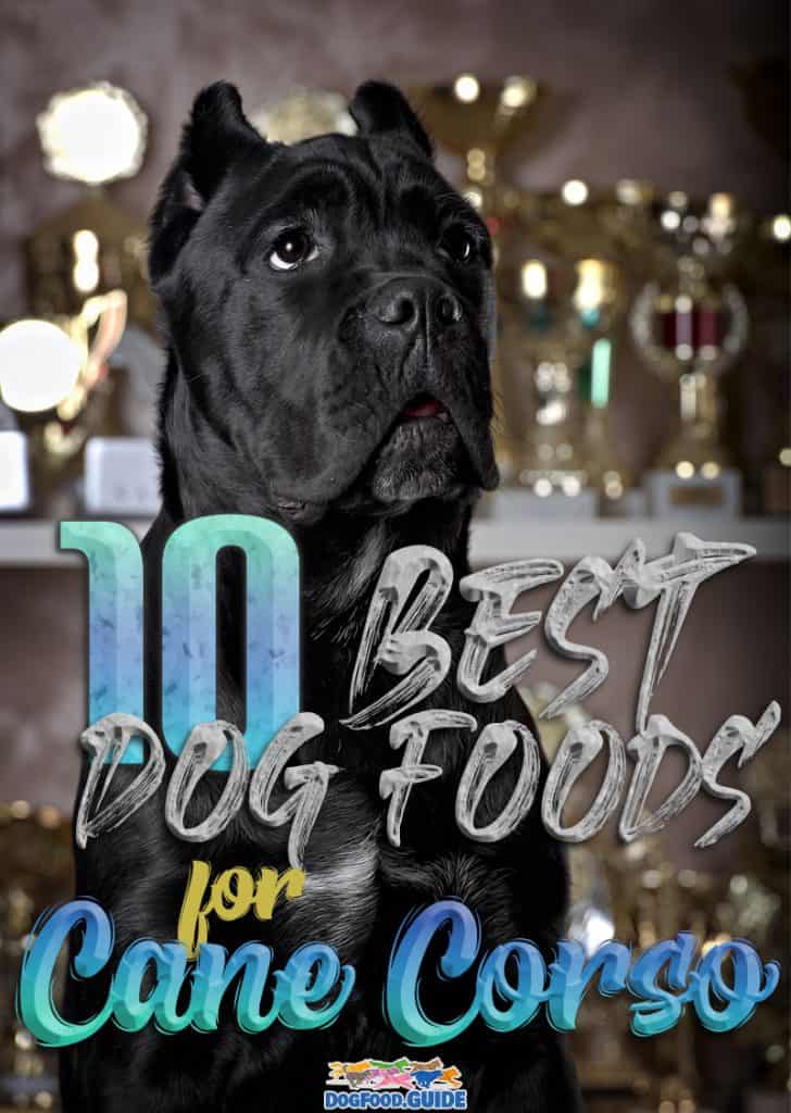 Best Dog Food For Cane Corsos