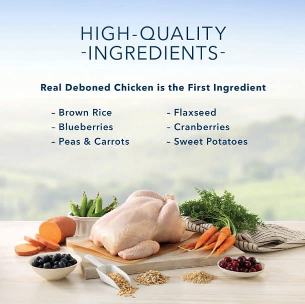 10 Worst & Best Dog Foods The Unbiased Reviews for 2022