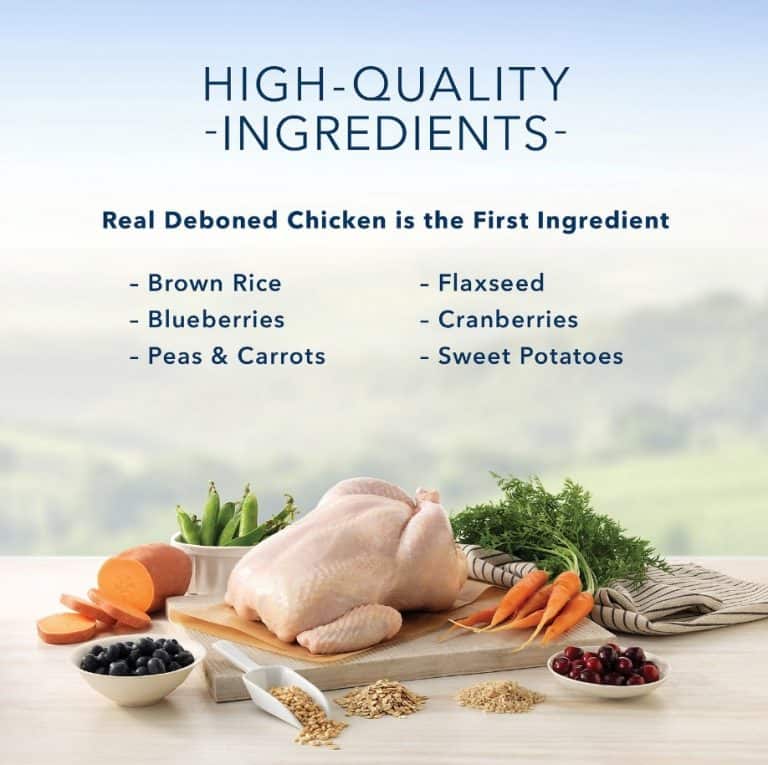 10 Worst & Best Dog Foods The Unbiased Reviews for 2022