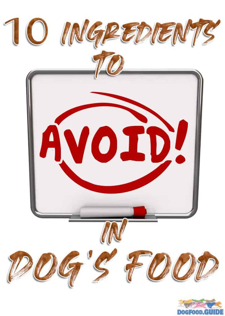 10 Ingredients to avoid in dog's food